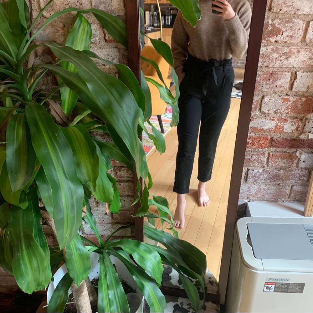 Black Trousers